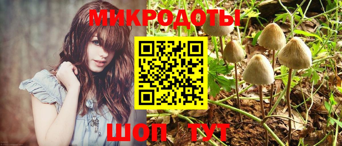 Галлюциногенные грибы Cubensis  Вход с VPN  Похвистнево 